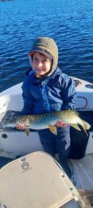 Northern Pike