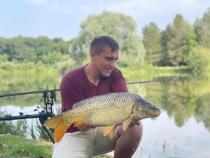 Common Carp