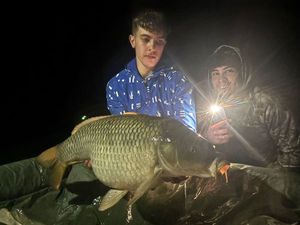 Common Carp