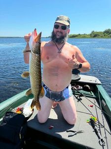 Northern Pike