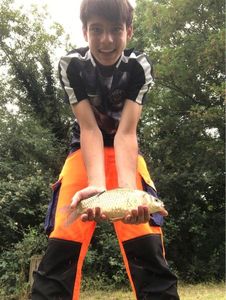 Common Carp