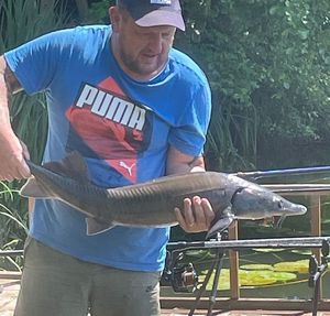 Sturgeon