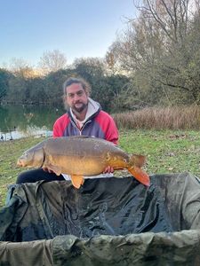 Mirror Carp