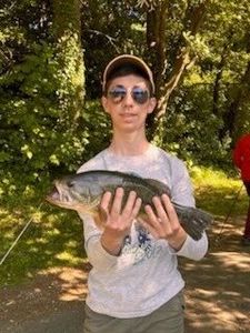 Largemouth Bass