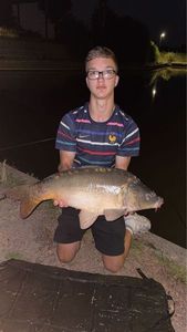 Mirror Carp