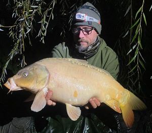 Mirror Carp