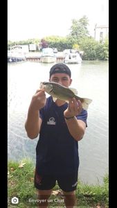Largemouth Bass