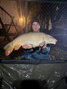 Mirror Carp