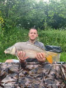 Mirror Carp