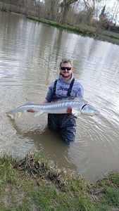 Sturgeon