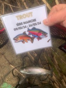 Rainbow Trout