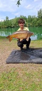 Mirror Carp