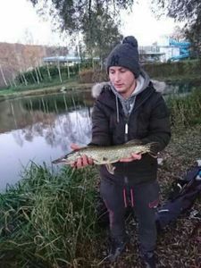 Northern Pike