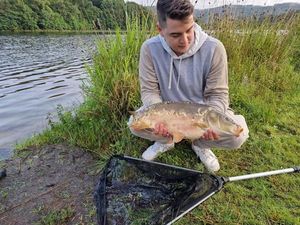 Mirror Carp