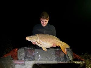 Mirror Carp