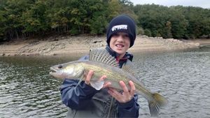 Zander