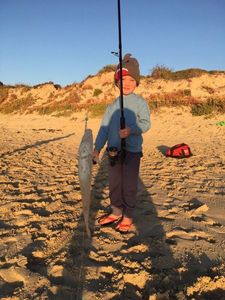 Sand whiting