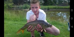 Common Carp