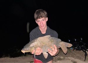 Common Carp