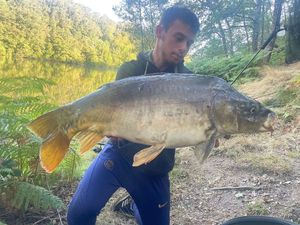 Common Carp