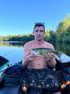 Largemouth Bass