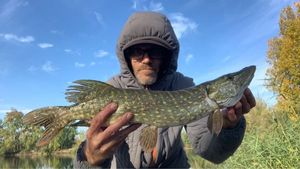 Northern Pike