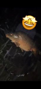 Leather Carp