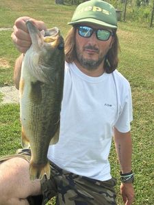 Largemouth Bass