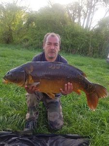Mirror Carp