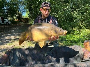 Mirror Carp