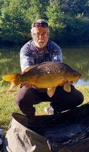 Mirror Carp
