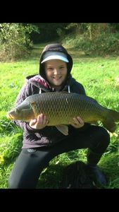 Common Carp