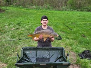 Mirror Carp