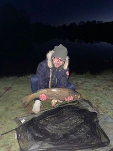 Common Carp