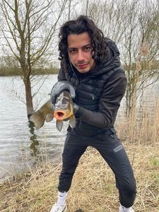 Tench