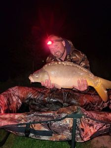 Mirror Carp