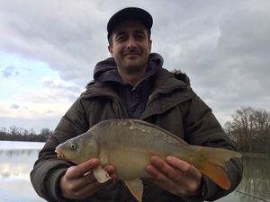 Mirror Carp