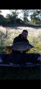 Common Carp