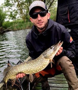 Northern Pike