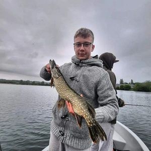 Northern Pike