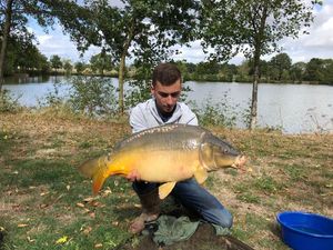 Mirror Carp