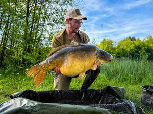 Mirror Carp