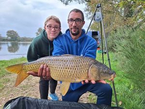 Common Carp