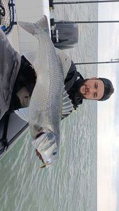 European Bass (Seabass)