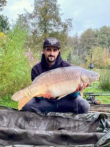 Mirror Carp
