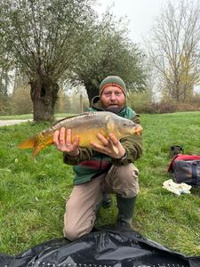 Mirror Carp