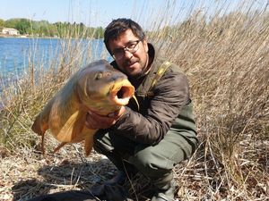 Common Carp