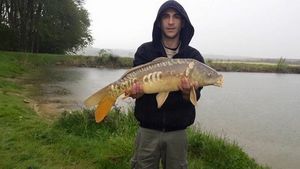 Leather Carp