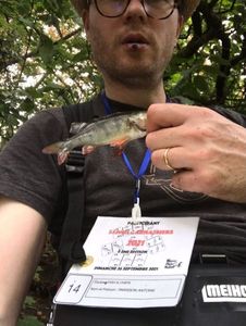 European Perch