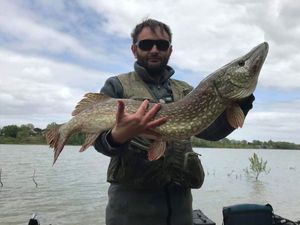 Northern Pike